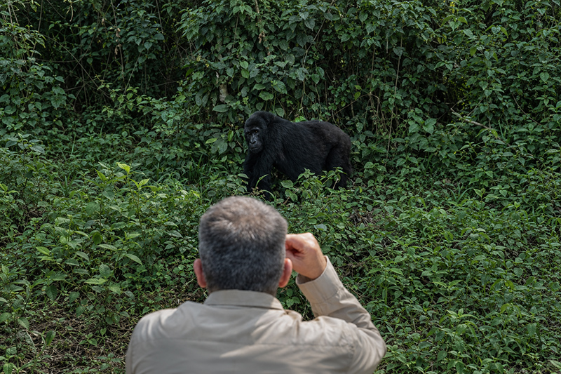 Eine Szene von der Rundreise „Gorillas in Uganda“