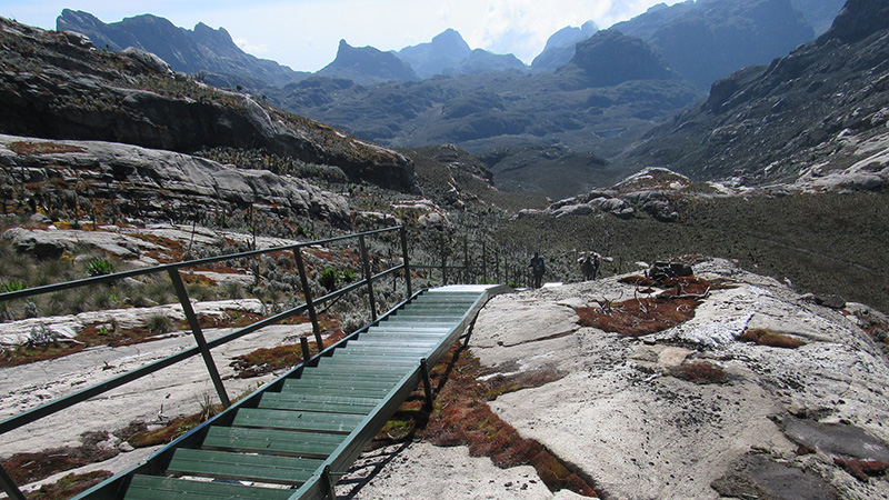 Eine Szene von der Expedition „Rwenzori-Trekking