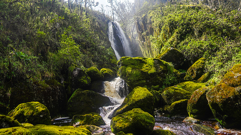 Eine Szene von der Expedition „Rwenzori-Trekking