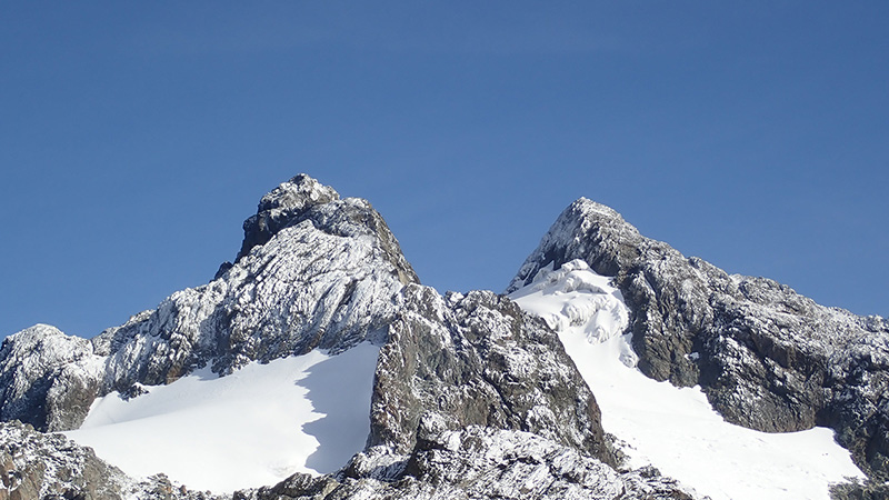 Eine Szene von der Expedition „Rwenzori-Trekking