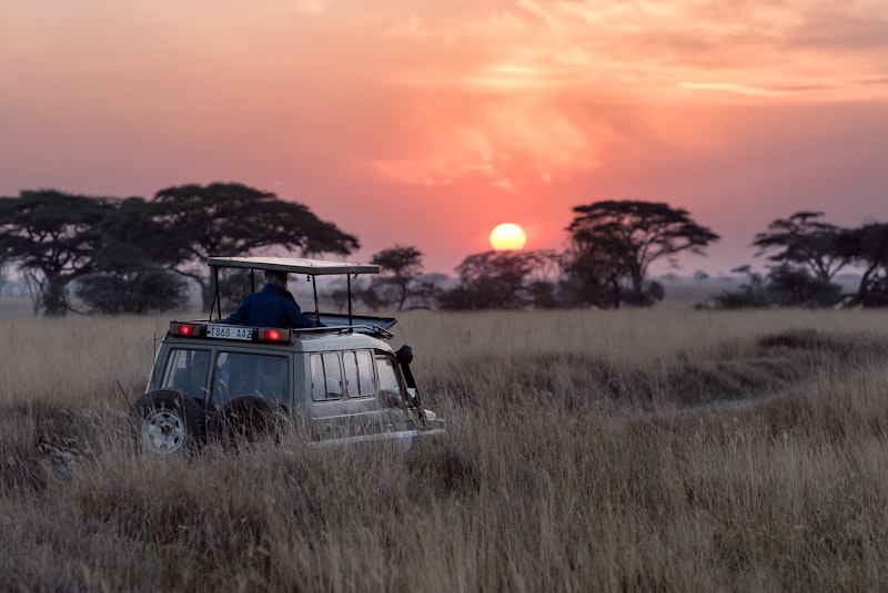 Uganda-Safari